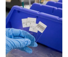 9,53 mm bred x 6,40 m lång