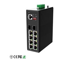 L2+, VLAN, SNMP, LLDP, 12V booster