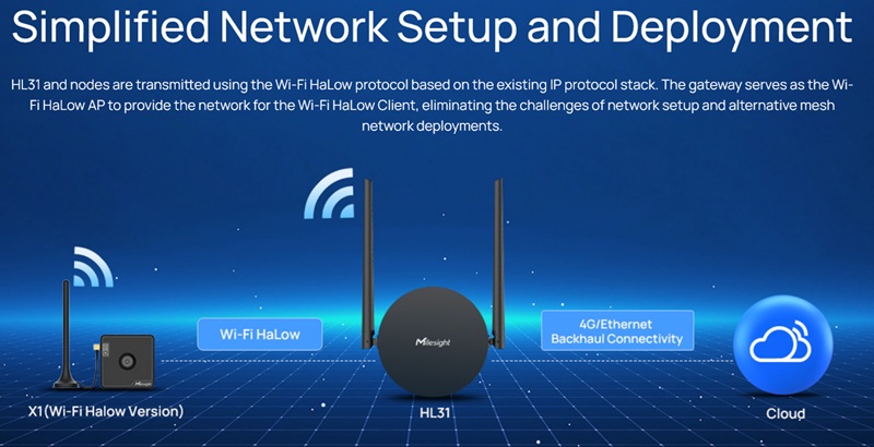 Halow Simplified network.jpg