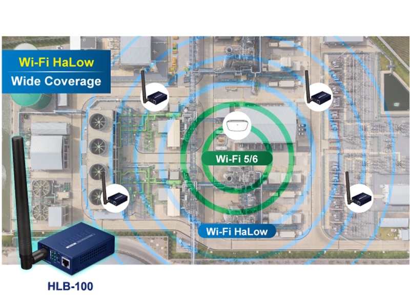HLB-100-71.jpg
