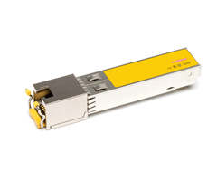RJ-45 Autoneg 100m