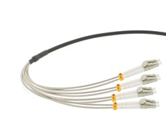 30m, LC-LC, 8 fiber OM1