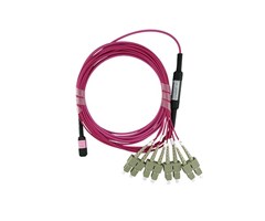 1m Multimode 50/125 OM4