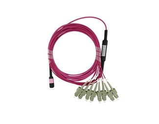 1m Multimode 50/125 OM4