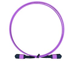0,25m, hona/hona, violett