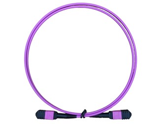 1m, hona/hona, violett