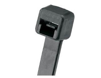 PLT2S-C00 188 x 4,8 mm Väderbeständig PA 6.6
