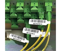 20.02mm bred x 29.97mm hög 1/120st